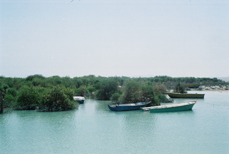 https://ic.pics.livejournal.com/cosmomarmots/76512026/278496/278496_900.jpg
