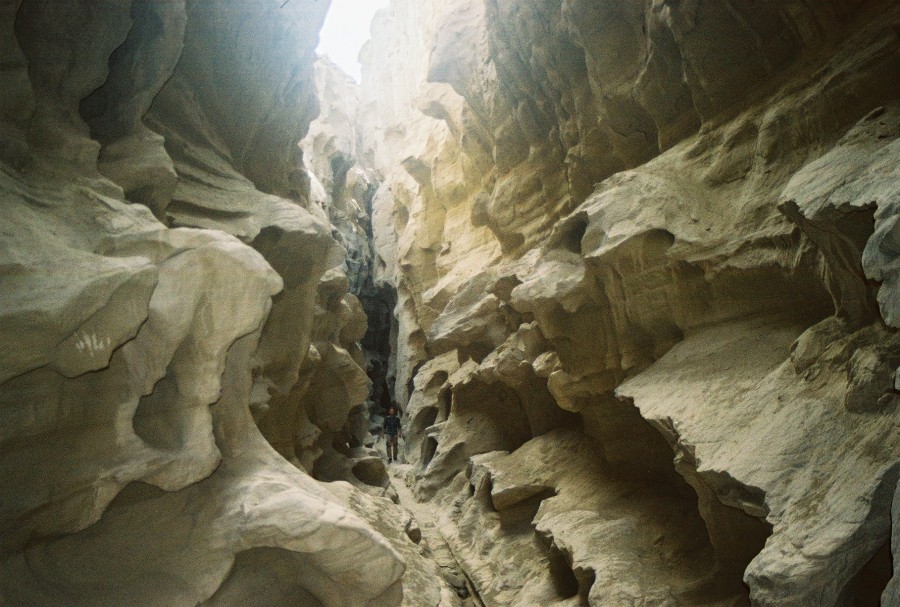 https://ic.pics.livejournal.com/cosmomarmots/76512026/278957/278957_900.jpg
