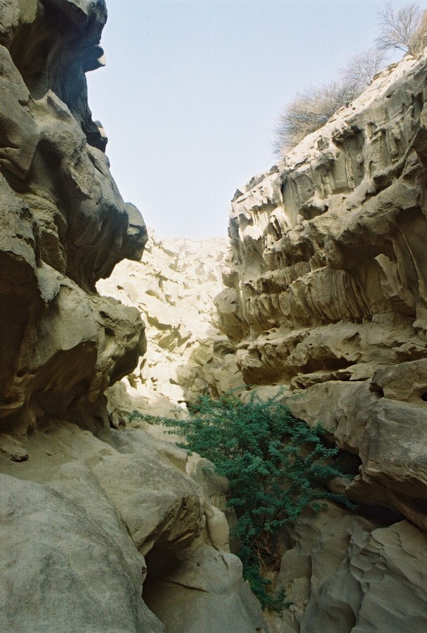 https://ic.pics.livejournal.com/cosmomarmots/76512026/279197/279197_900.jpg