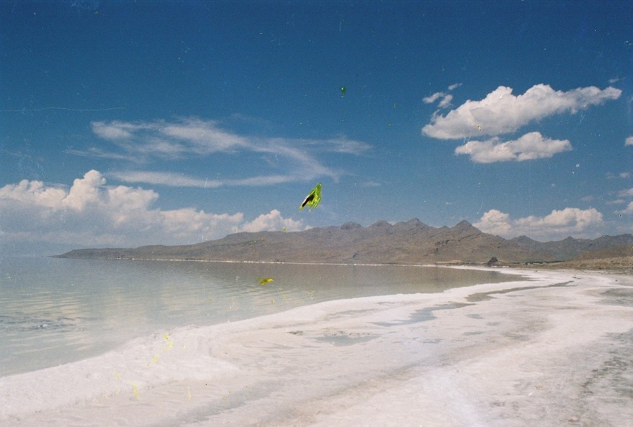 https://ic.pics.livejournal.com/cosmomarmots/76512026/284014/284014_900.jpg