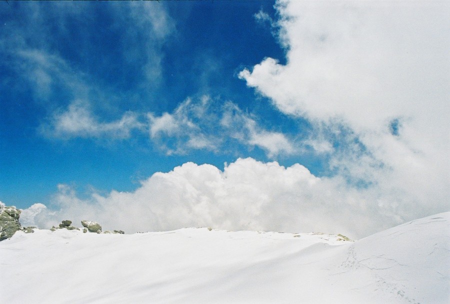 https://ic.pics.livejournal.com/cosmomarmots/76512026/286491/286491_900.jpg