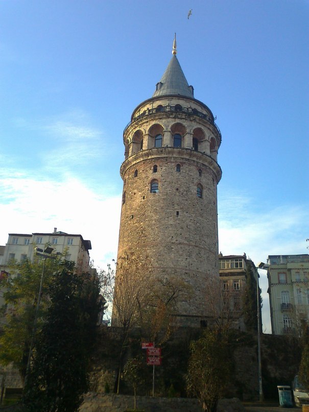 https://ic.pics.livejournal.com/cosmomarmots/76512026/290551/290551_900.jpg