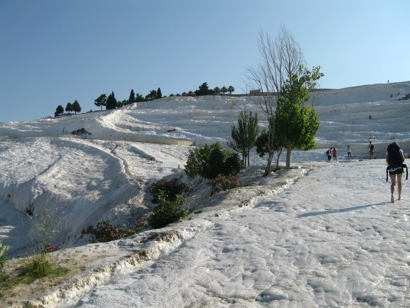 https://ic.pics.livejournal.com/cosmomarmots/76512026/301093/301093_900.jpg