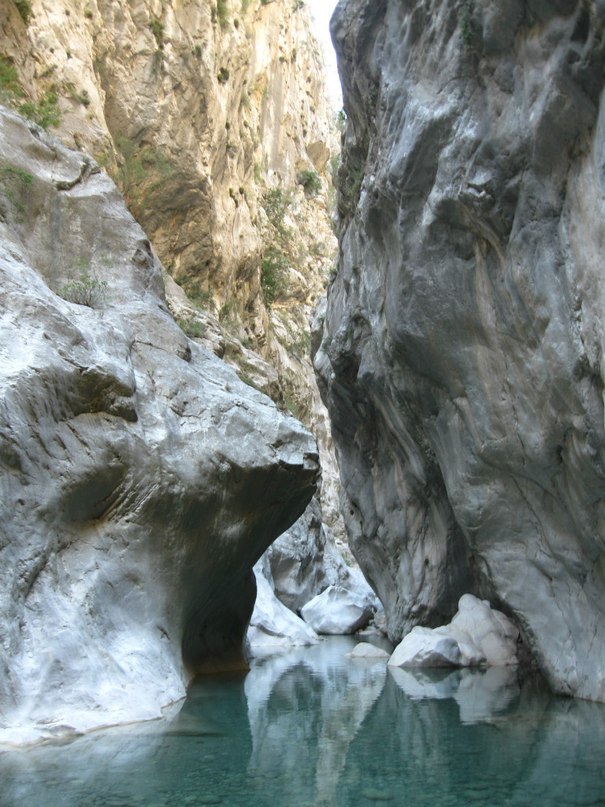 https://ic.pics.livejournal.com/cosmomarmots/76512026/303045/303045_900.jpg
