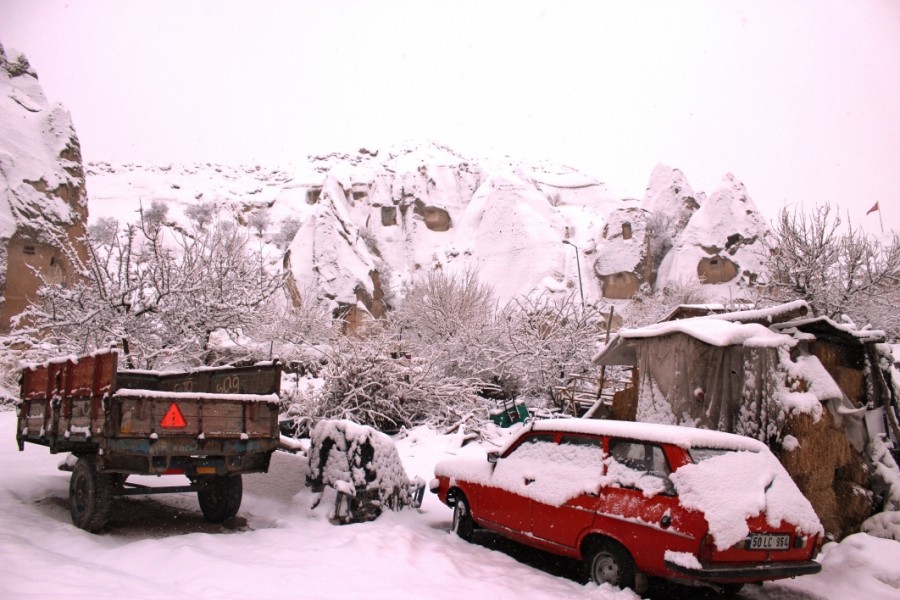https://ic.pics.livejournal.com/cosmomarmots/76512026/574576/574576_900.jpg