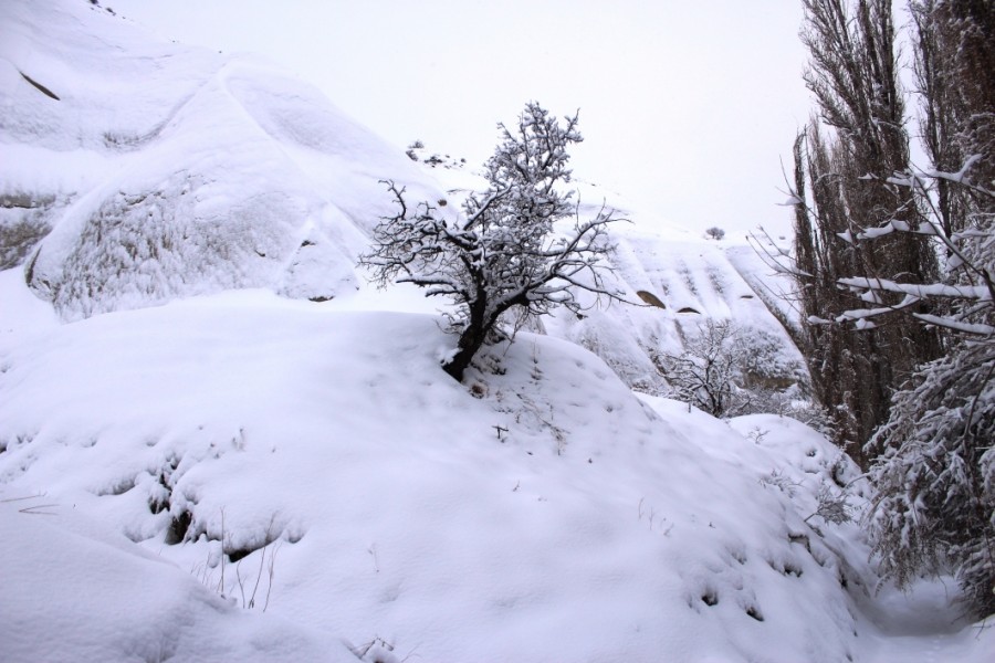 https://ic.pics.livejournal.com/cosmomarmots/76512026/575808/575808_900.jpg