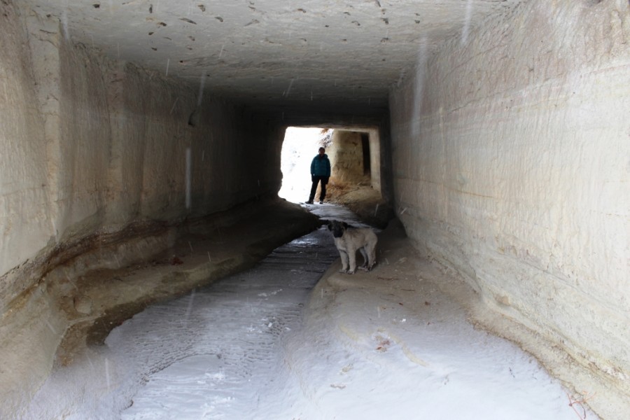 https://ic.pics.livejournal.com/cosmomarmots/76512026/576201/576201_900.jpg