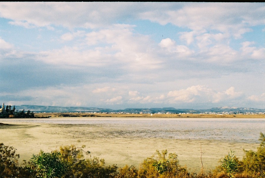 https://ic.pics.livejournal.com/cosmomarmots/76512026/68267/68267_900.jpg