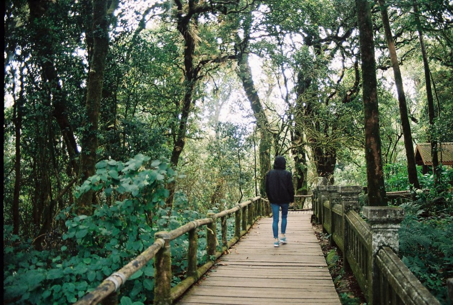 https://ic.pics.livejournal.com/cosmomarmots/76512026/316800/316800_900.jpg