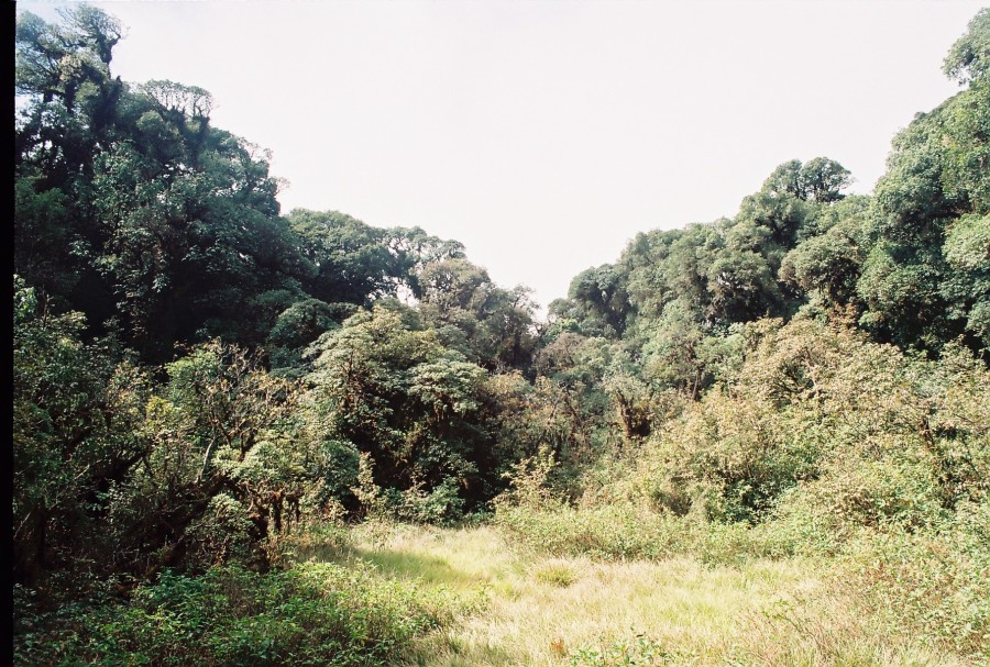 https://ic.pics.livejournal.com/cosmomarmots/76512026/317169/317169_900.jpg