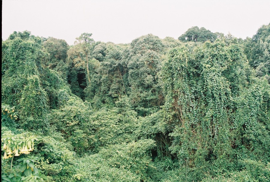https://ic.pics.livejournal.com/cosmomarmots/76512026/318546/318546_900.jpg