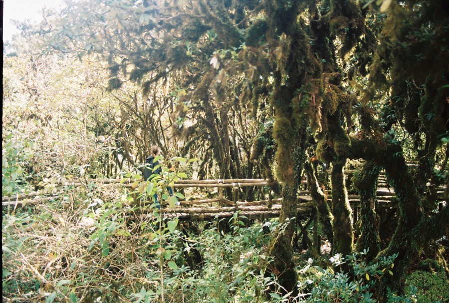 https://ic.pics.livejournal.com/cosmomarmots/76512026/319691/319691_900.jpg