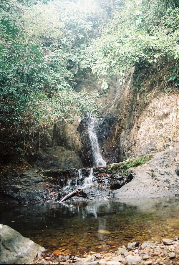 https://ic.pics.livejournal.com/cosmomarmots/76512026/321301/321301_900.jpg