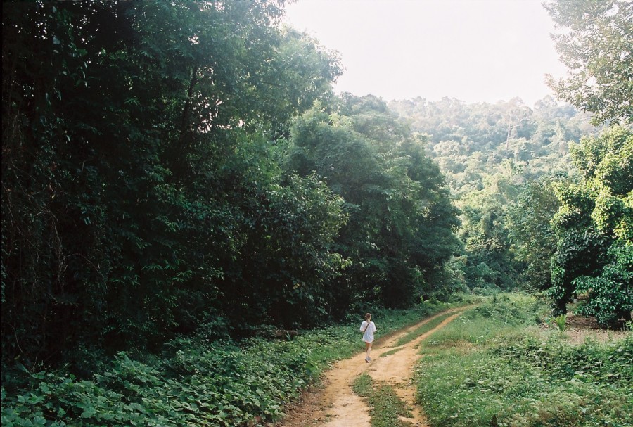 https://ic.pics.livejournal.com/cosmomarmots/76512026/323176/323176_900.jpg