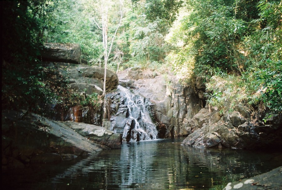 https://ic.pics.livejournal.com/cosmomarmots/76512026/323412/323412_900.jpg
