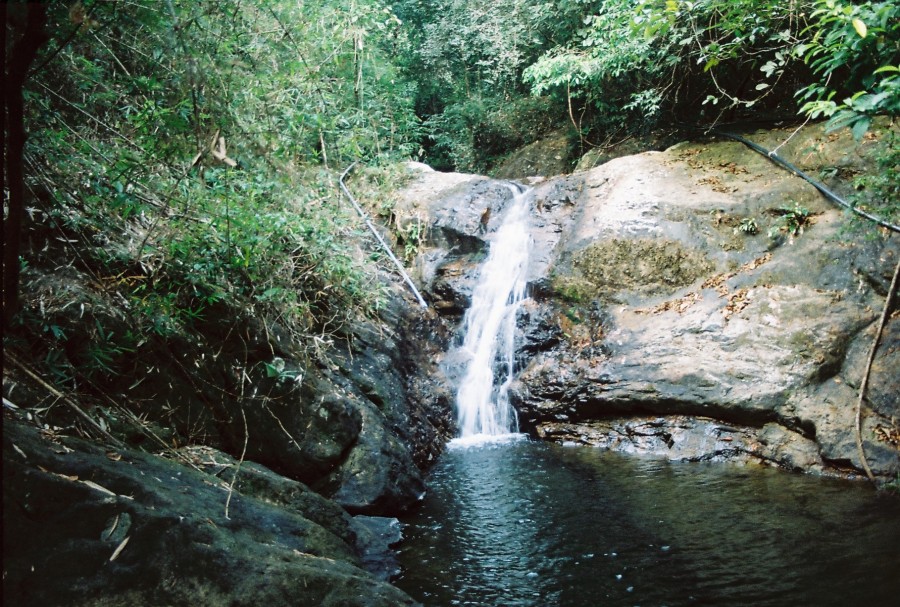 https://ic.pics.livejournal.com/cosmomarmots/76512026/323968/323968_900.jpg