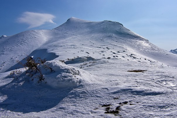 https://ic.pics.livejournal.com/cosmomarmots/76512026/339548/339548_900.jpg