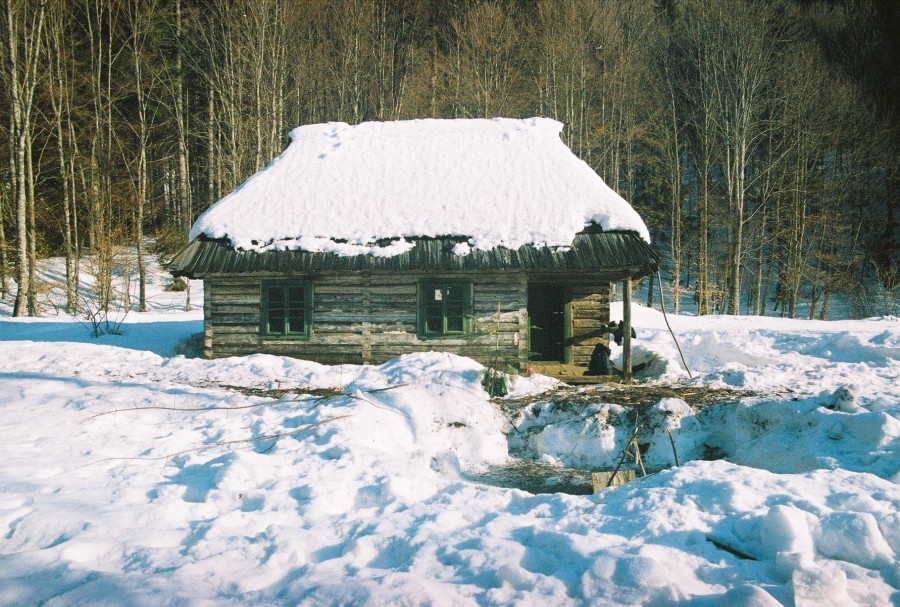 https://ic.pics.livejournal.com/cosmomarmots/76512026/1179217/1179217_900.jpg