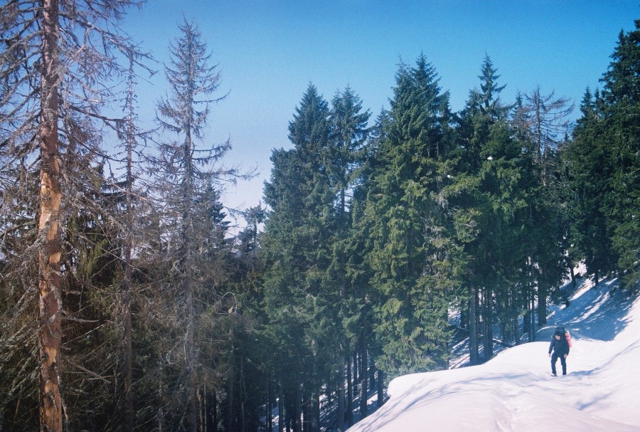 https://ic.pics.livejournal.com/cosmomarmots/76512026/1179777/1179777_900.jpg