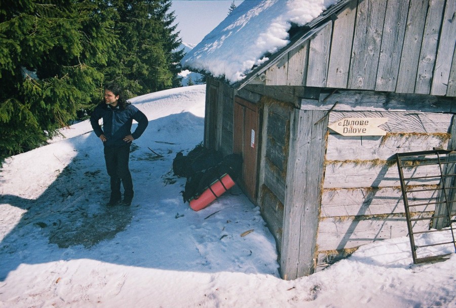 https://ic.pics.livejournal.com/cosmomarmots/76512026/1180340/1180340_900.jpg