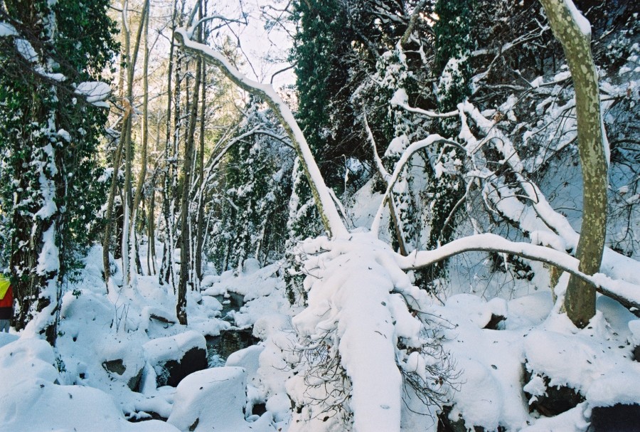 https://ic.pics.livejournal.com/cosmomarmots/76512026/73371/73371_900.jpg