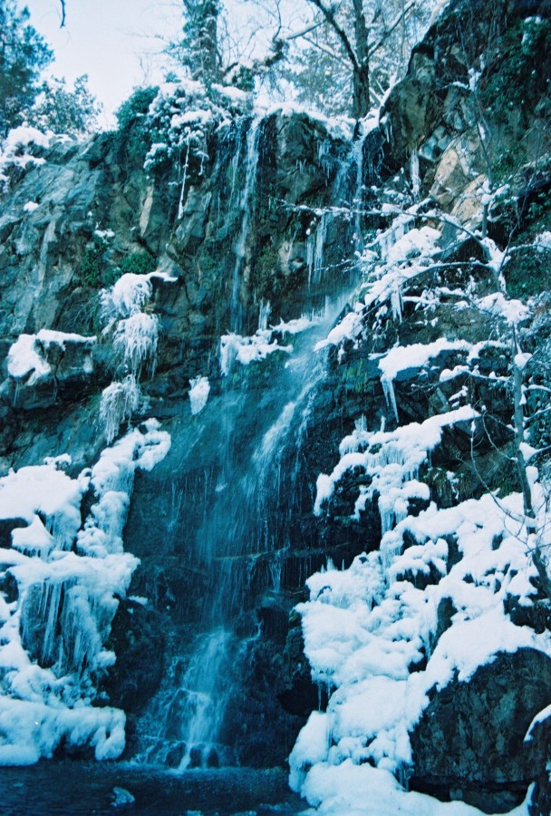 https://ic.pics.livejournal.com/cosmomarmots/76512026/73639/73639_900.jpg