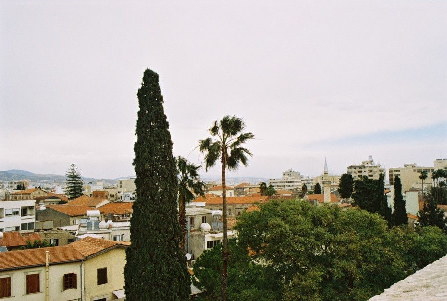 https://ic.pics.livejournal.com/cosmomarmots/76512026/73798/73798_900.jpg
