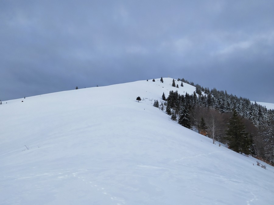 https://ic.pics.livejournal.com/cosmomarmots/76512026/1053709/1053709_900.jpg