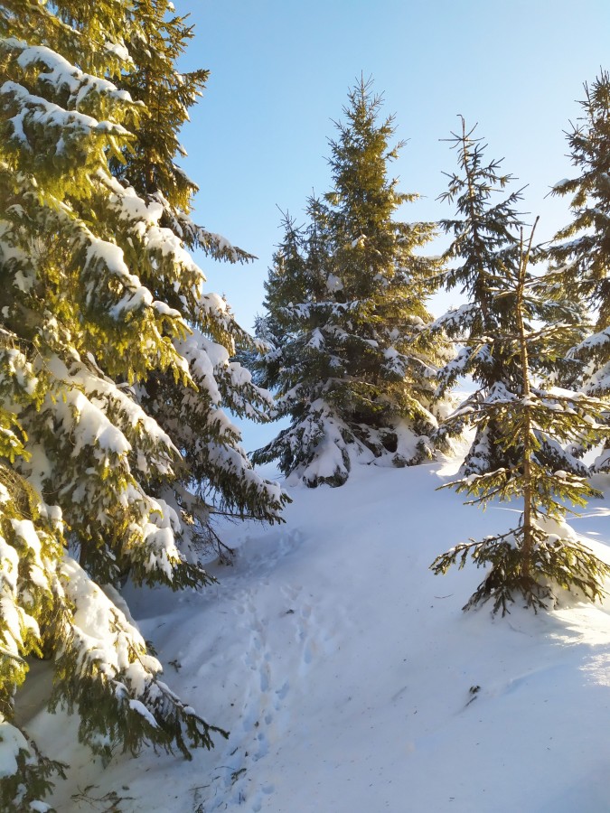 https://ic.pics.livejournal.com/cosmomarmots/76512026/1055367/1055367_900.jpg