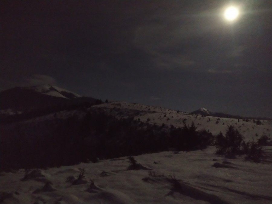 https://ic.pics.livejournal.com/cosmomarmots/76512026/1059129/1059129_900.jpg
