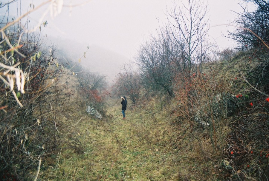 https://ic.pics.livejournal.com/cosmomarmots/76512026/10029/10029_900.jpg