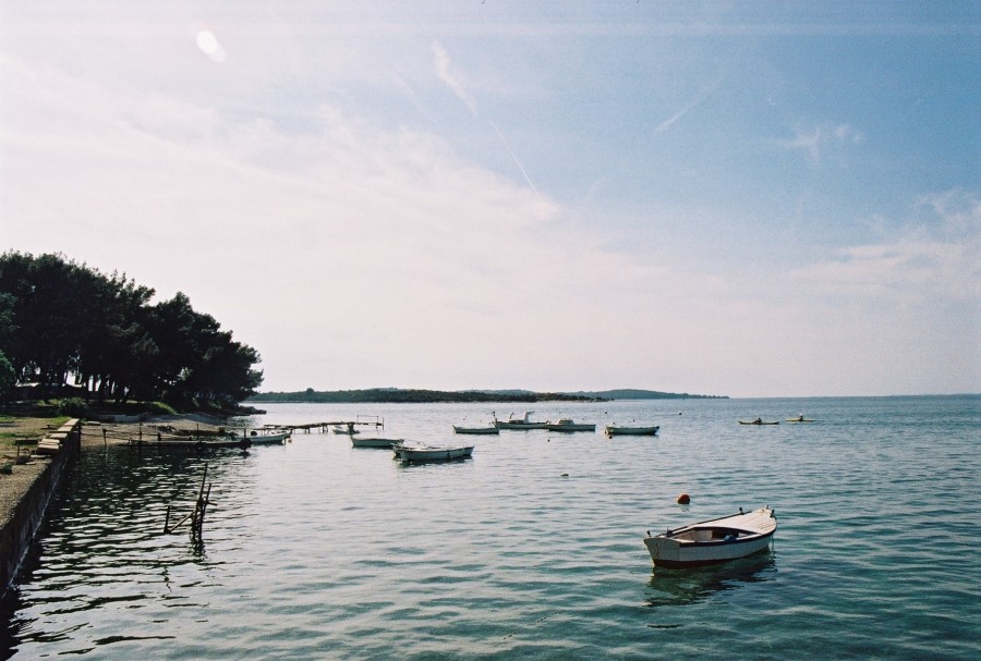 https://ic.pics.livejournal.com/cosmomarmots/76512026/80281/80281_900.jpg