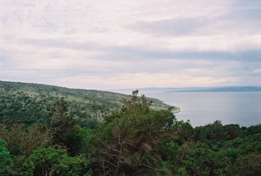 https://ic.pics.livejournal.com/cosmomarmots/76512026/81909/81909_900.jpg