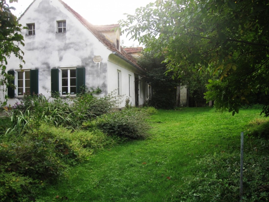 https://ic.pics.livejournal.com/cosmomarmots/76512026/493416/493416_900.jpg