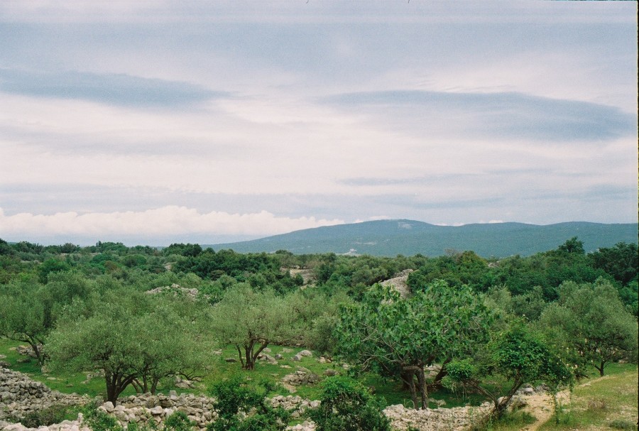 https://ic.pics.livejournal.com/cosmomarmots/76512026/82508/82508_900.jpg