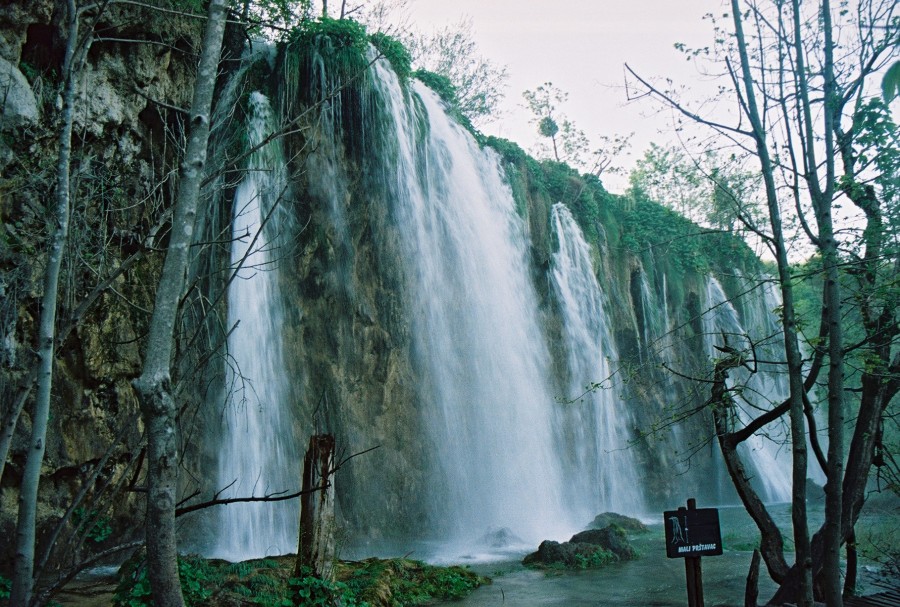 https://ic.pics.livejournal.com/cosmomarmots/76512026/83489/83489_900.jpg