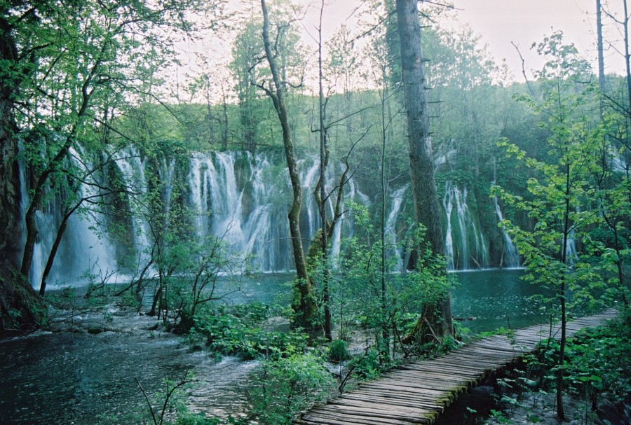 https://ic.pics.livejournal.com/cosmomarmots/76512026/84003/84003_900.jpg