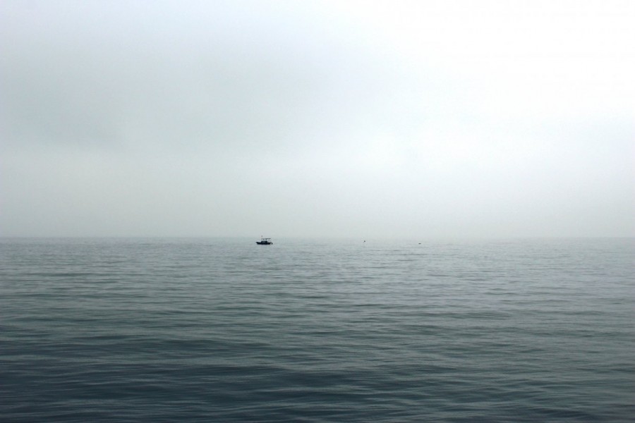 https://ic.pics.livejournal.com/cosmomarmots/76512026/616982/616982_900.jpg
