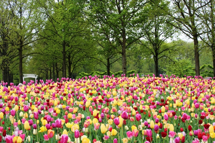 https://ic.pics.livejournal.com/cosmomarmots/76512026/796661/796661_900.jpg