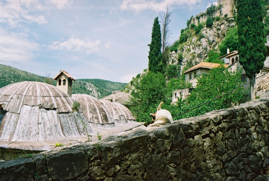 https://ic.pics.livejournal.com/cosmomarmots/76512026/91312/91312_900.jpg