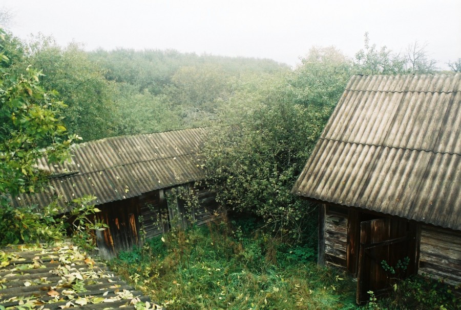 https://ic.pics.livejournal.com/cosmomarmots/76512026/724411/724411_900.jpg