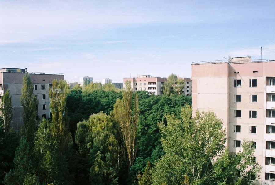https://ic.pics.livejournal.com/cosmomarmots/76512026/725736/725736_900.jpg