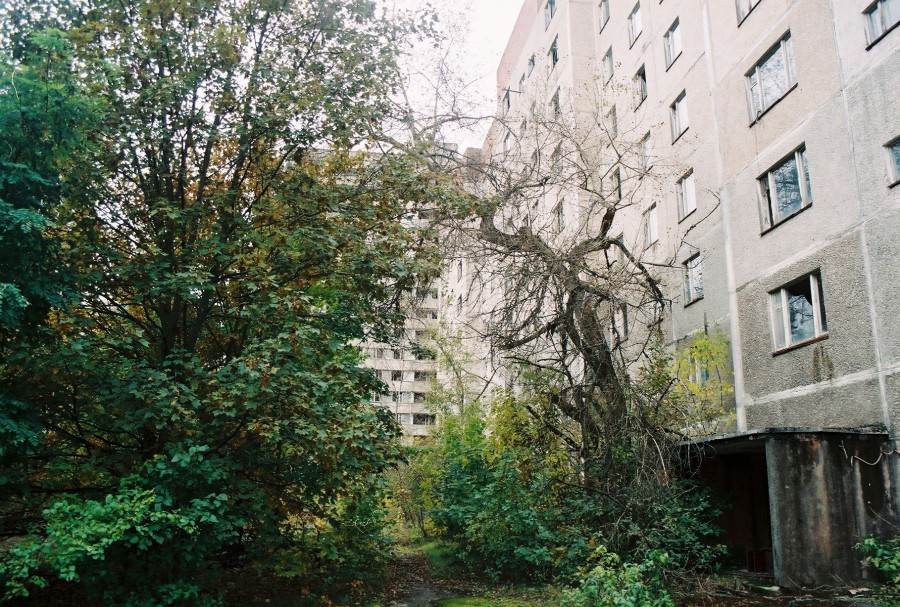 https://ic.pics.livejournal.com/cosmomarmots/76512026/726028/726028_900.jpg