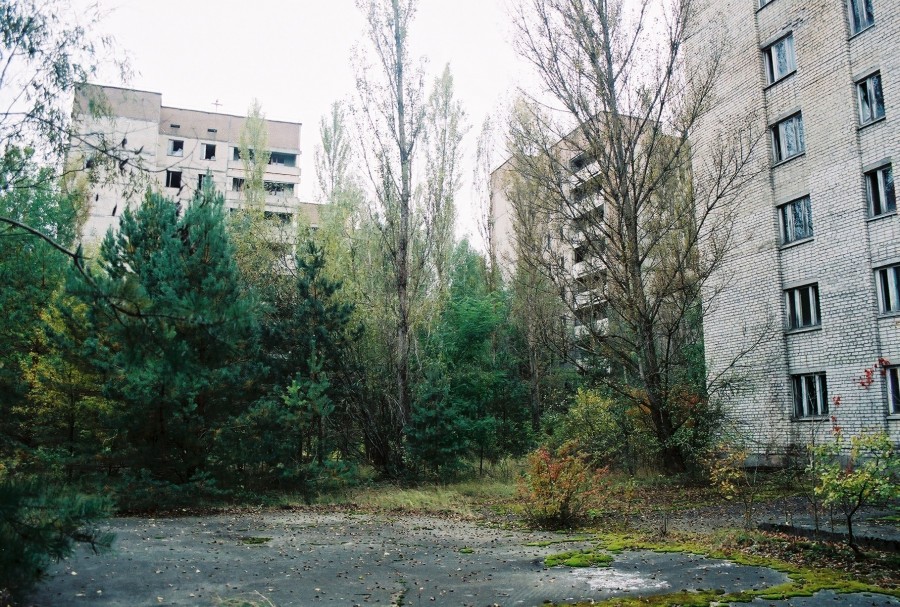 https://ic.pics.livejournal.com/cosmomarmots/76512026/726564/726564_900.jpg