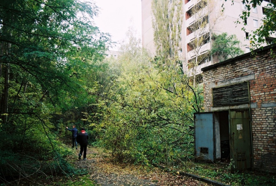https://ic.pics.livejournal.com/cosmomarmots/76512026/726962/726962_900.jpg