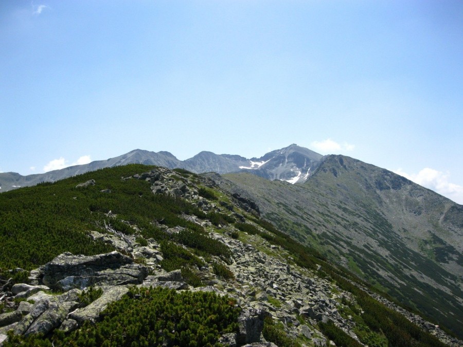 https://ic.pics.livejournal.com/cosmomarmots/76512026/93258/93258_900.jpg