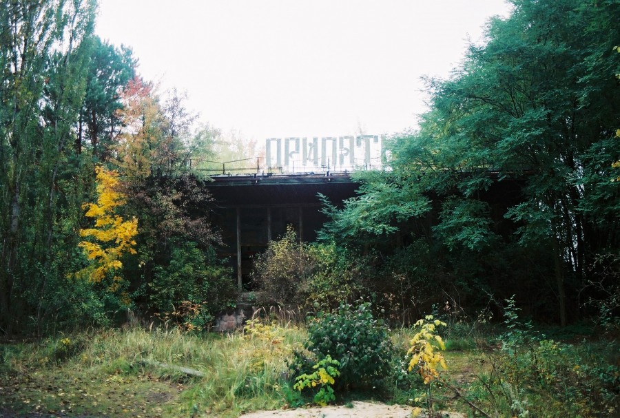 https://ic.pics.livejournal.com/cosmomarmots/76512026/728253/728253_900.jpg