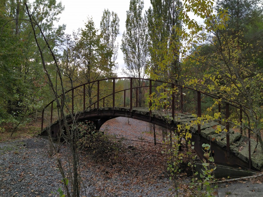 https://ic.pics.livejournal.com/cosmomarmots/76512026/1001384/1001384_900.jpg