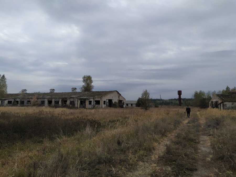 https://ic.pics.livejournal.com/cosmomarmots/76512026/1002436/1002436_900.jpg