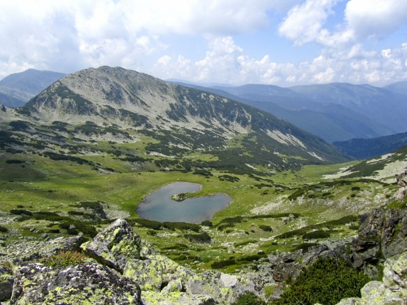 https://ic.pics.livejournal.com/cosmomarmots/76512026/94489/94489_900.jpg